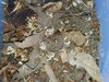 IMG_20210330_143817.jpg