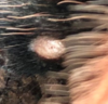 spot-close.png