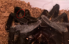 1627181472934.png