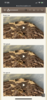 BEA5D528-8C7F-4F6E-889F-A9ADB7CB0F53.png