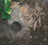 20201104_020553.jpg