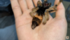 D6902E27-AC9F-44AA-A3A3-355F5CD9D823.png