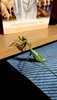 Praying mantis 1.jpg