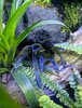 IMG_20211211_184737.jpg