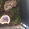 IMG_20220110_180809732_1024x1024.jpg