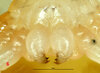 2021-02-13 18-43-54 (C,Smoothing4).jpg