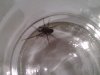IMG00114-20100323-0811.jpg