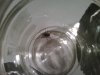 IMG00115-20100323-0811.jpg