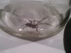 IMG00116-20100323-0812.jpg