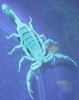 IMG_2431.jpg