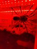 20210827_210352.jpg
