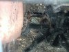 D66554BE-2BD7-4E59-8578-77E8AE439359.jpeg