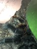 2503E5C8-DAC6-44E4-A2F9-F8AB354326B3.jpeg