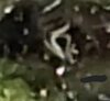 Screenshot_20220608-113217_Gallery.jpg