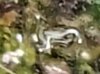Screenshot_20220608-113233_Gallery.jpg