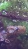 20220608_114909.jpg