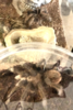 1659054287971.png