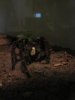 spiders 1 136.jpg