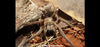 63CA22BE-F173-4D53-8560-3644F9AA03D4.png 63CA22BE-F173-4D53-8560-3644F9AA03D4.png