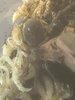 IMG_5879.jpeg