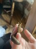 IMG_1450.jpeg