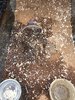 IMG_2308.jpeg