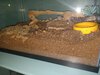 20230627_060041.jpg