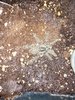 IMG_4483.jpeg