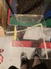 IMG_4509.jpeg