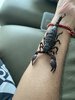 IMG_3553.jpeg