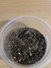IMG_2453.jpeg