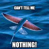 IMG_5280.jpeg