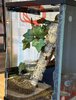 IMG_7897.jpeg