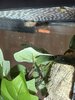 IMG_7895.jpeg