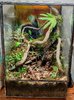 duckterrarium-6.jpg