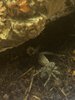 IMG_3134.jpeg