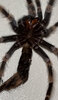 IMG_2920.jpeg