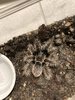 IMG_9376.jpeg
