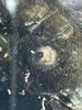 IMG_9700.jpeg