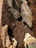 IMG_4816.jpeg
