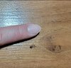 1000010365.jpg