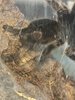 IMG_8722.jpeg