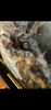 IMG_8735.png