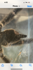 IMG_8737.png