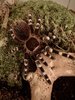 IMG_9942.jpeg