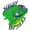 Strictly Reptiles