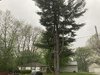 IMG_6875.jpeg
