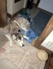 IMG_6921.jpeg