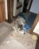 IMG_6920.jpeg