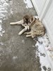IMG_6918.jpeg